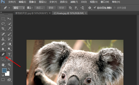 PS电脑版下载-photoshop电脑PC版下载