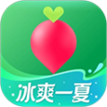 叮咚买菜