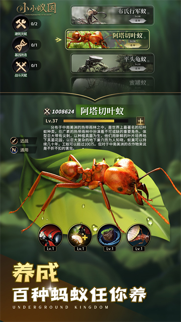 小小蚁国截图