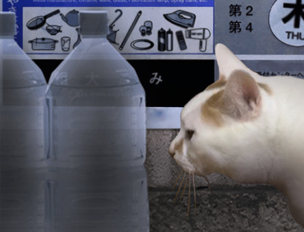 翌日截图
