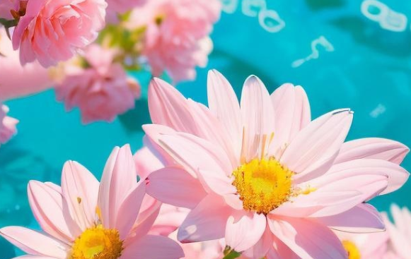 Flora Screensaver