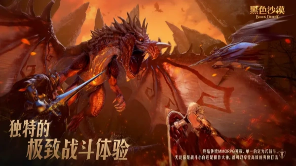 黑色沙漠截图