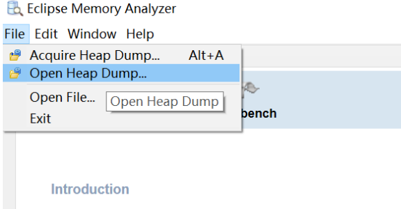 memory analyzer