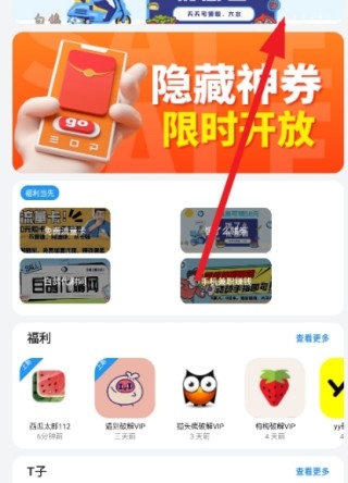 熊盒子白鸽