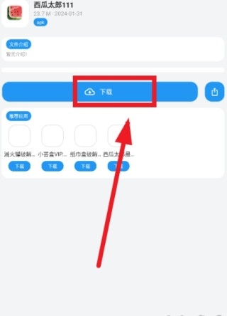 熊盒子白鸽