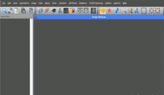 Sante DICOM Editor