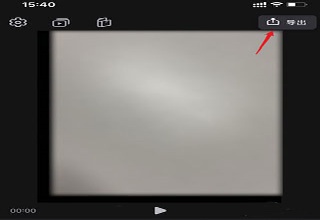 videoLeap