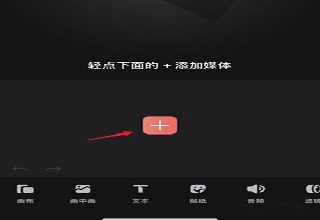 videoLeap