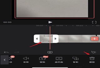 videoLeap