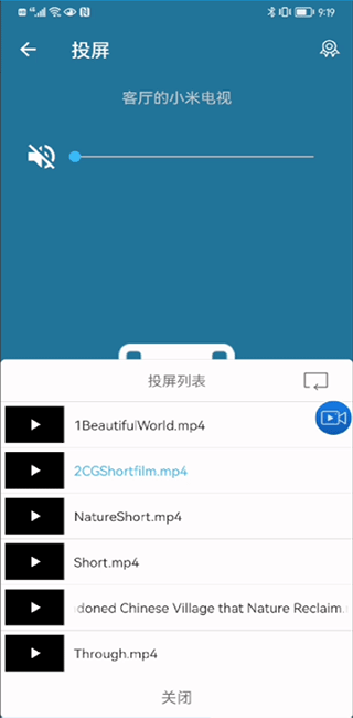 投屏助手