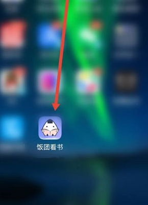 饭团探书