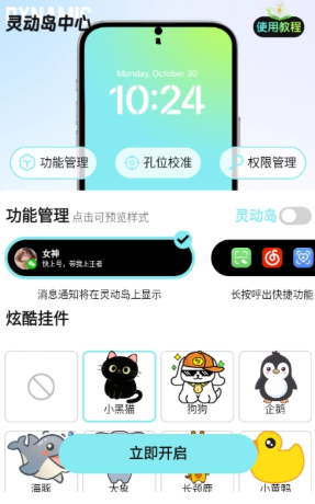 灵动皮肤小组件