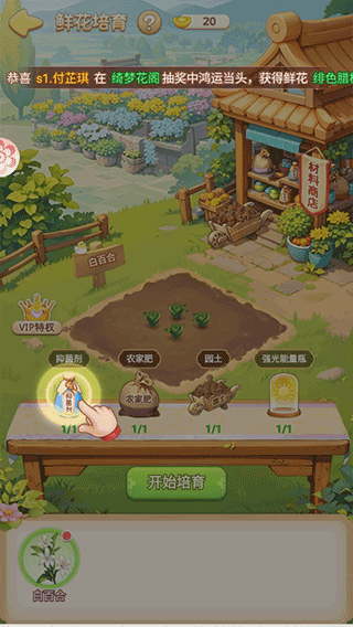 我的花园世界